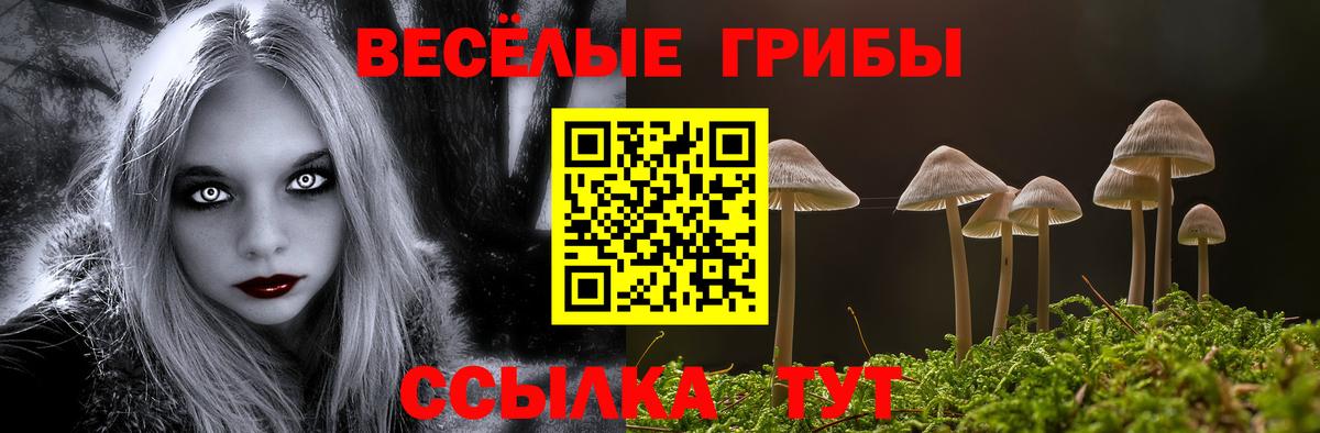 Псилоцибиновые грибы ЛСД  Вход с VPN  Куйбышев 
