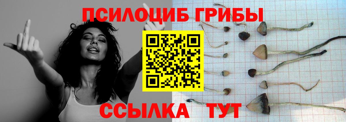 Псилоцибиновые грибы GOLDEN TEACHER Куйбышев